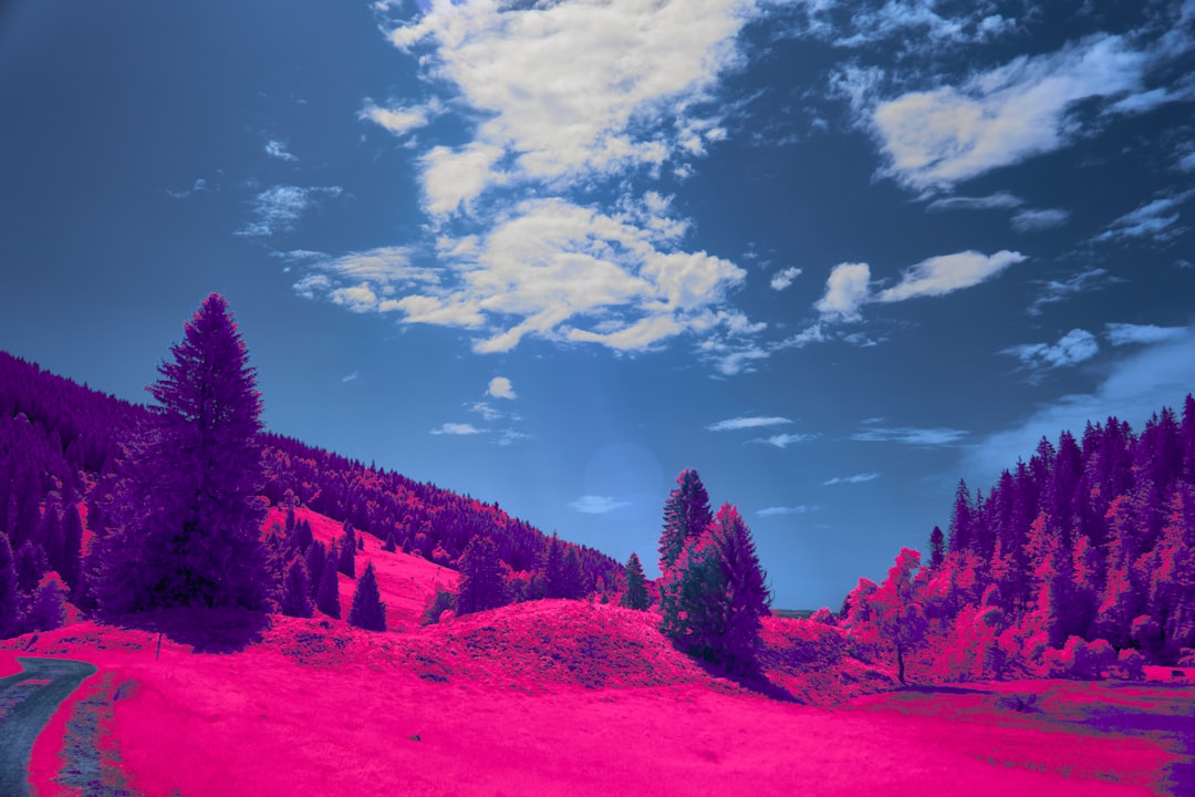 Ce înseamnă când visezi bani mulți