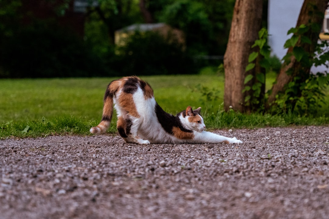 Exerciții de stretching pe care le poți face acasă în 10 minute