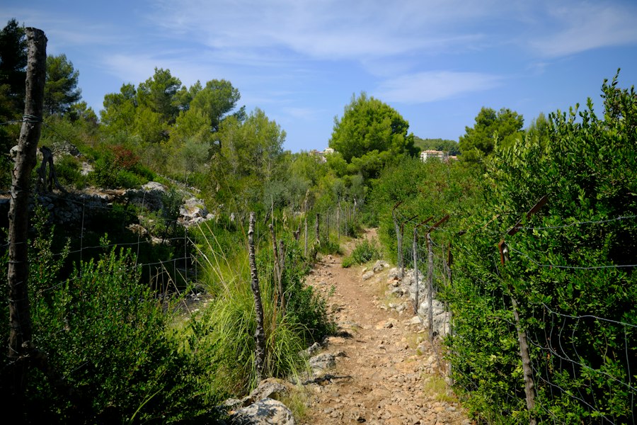 discover hidden trails