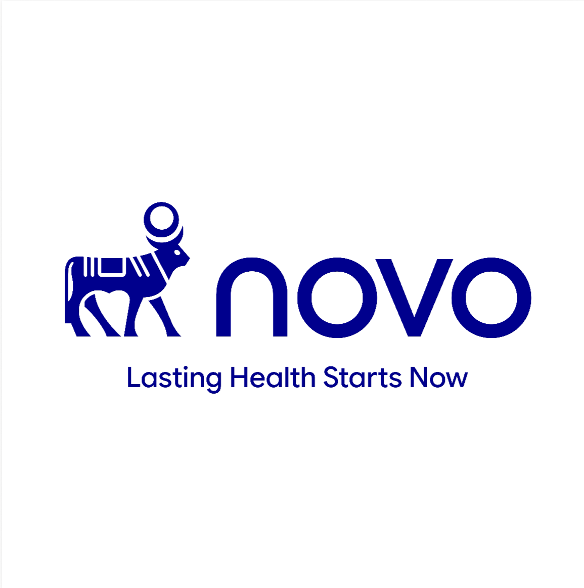 Novo rebranding — Glam Press - Fashion and Love