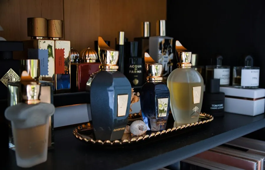 how to choose perfume guide